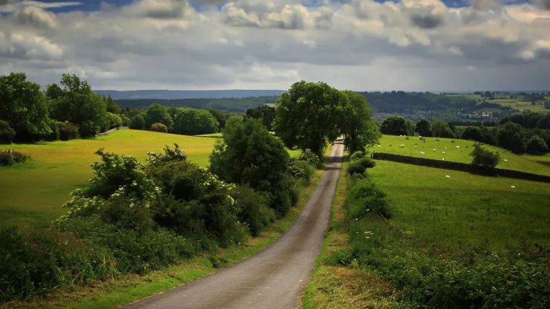 14) Scenic Country Roads(1)