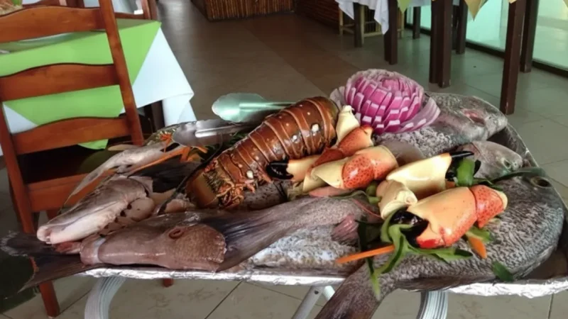 14) Seafood Restaurants(5)