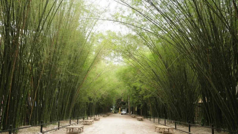 14 Shaded Rest Areas – Relaxing stops(1)