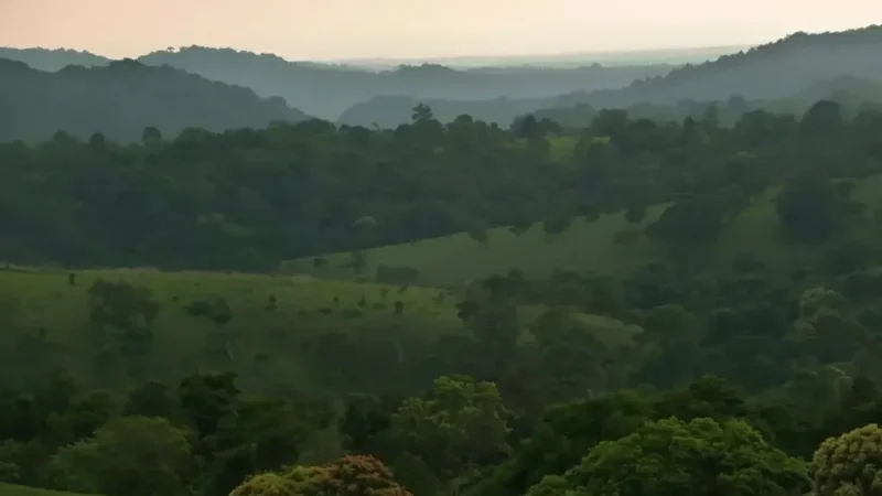 14 Sunrise Viewing Areas – Morning calm(4)