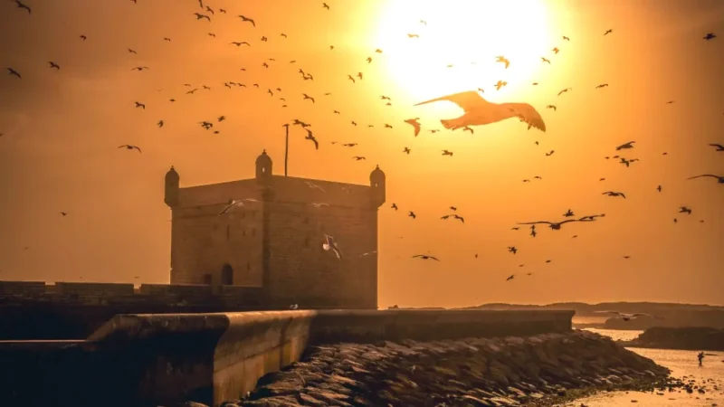 14) Sunset Viewpoints along the Ramparts(2)