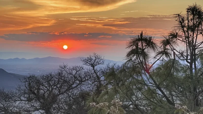 14) Sunset Viewpoints(6)