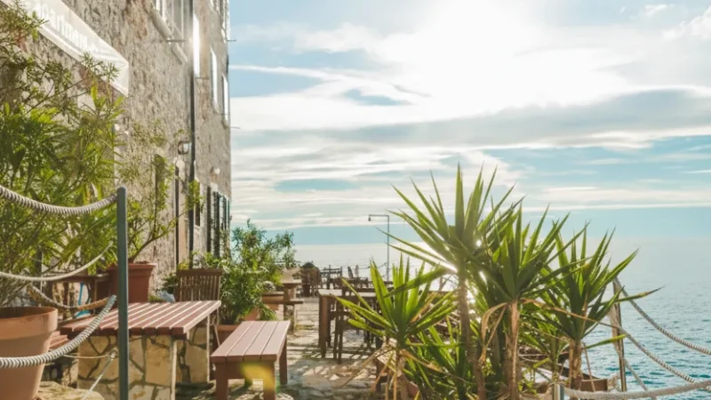 14) Traditional Restaurants(2)