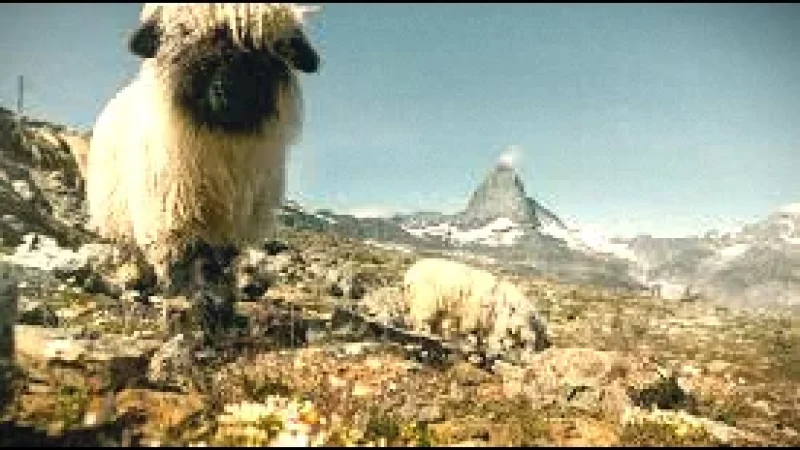 14 Wildlife Observation Areas(3)