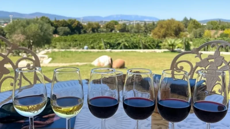 14. Alacati Vineyard Area(1)