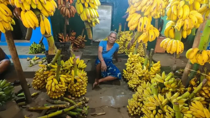 14. Banana Market – A large local produce market_(1)