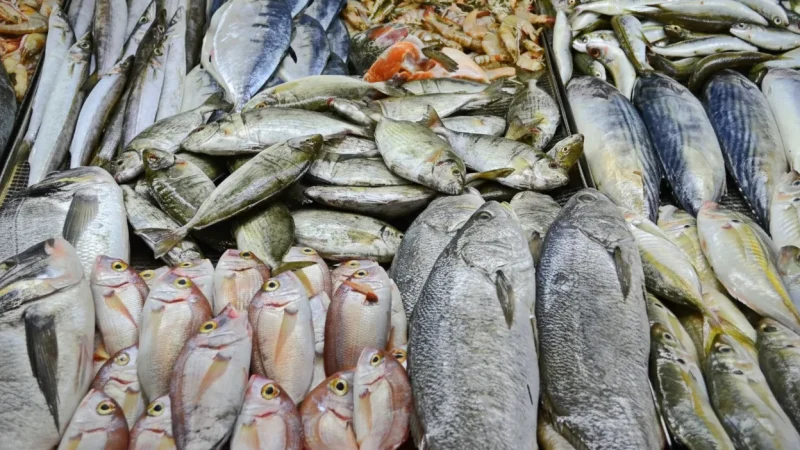 14. Fethiye Fish Market – Fresh seafood restaurants_(4)