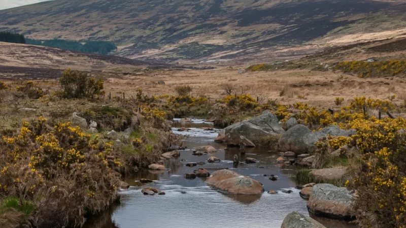 14. Glen of Imaal(1)