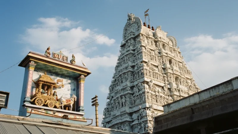 14. Parthasarathy Temple(6)