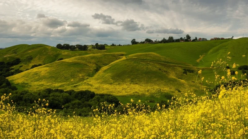 14. Regional Park(1)