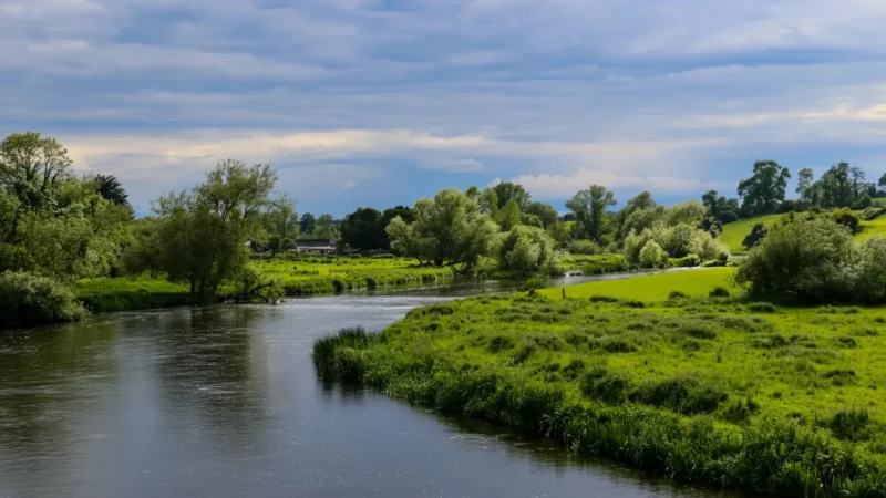 14. River Blackwater(4)