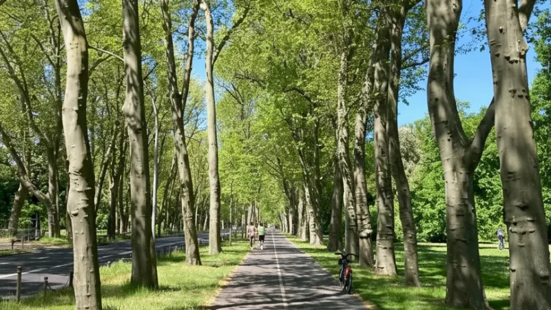 14. Treptower Park (Nearby)(3)