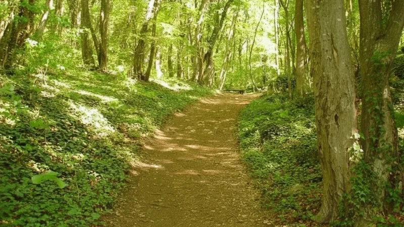 14. Village Walking Trails(4)