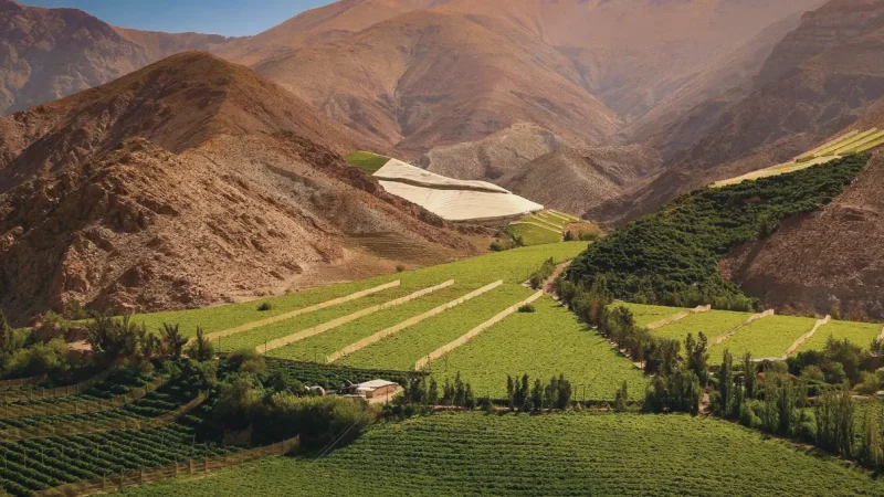 14_Small_Wineries(2)