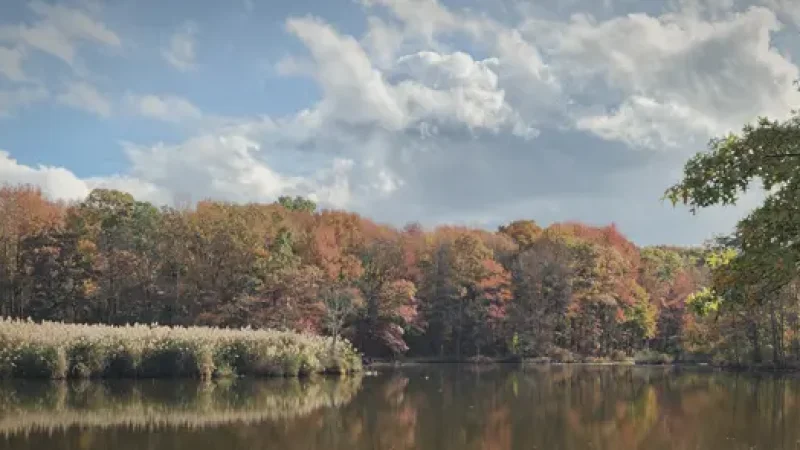 14_Wolfes_Pond_Park(1)