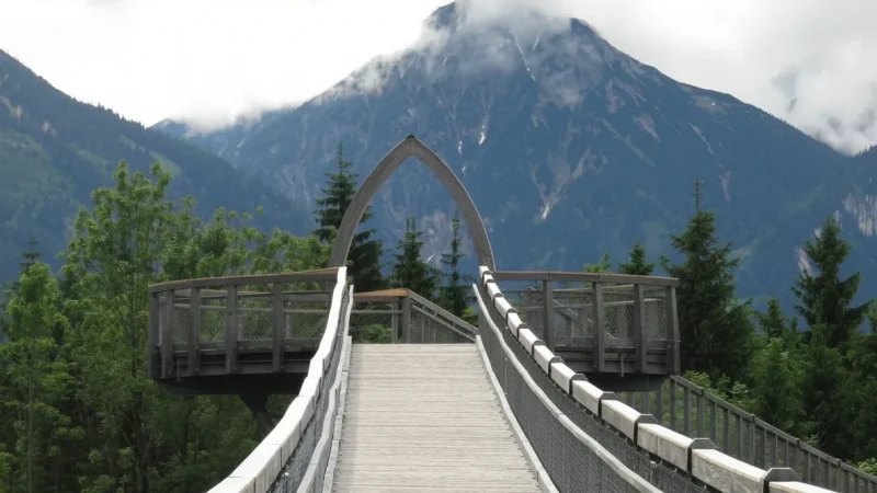 15) Baumkronenweg Ziegelwies(6)