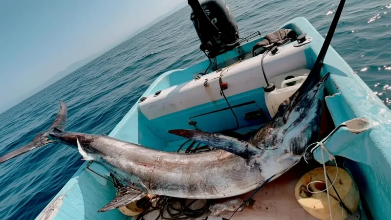 15) Boat Ride Areas(3)