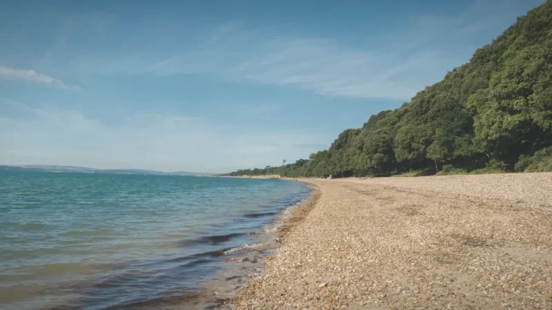 15) Calshot Beach(4)