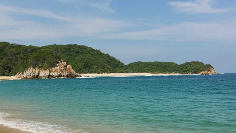 15) Coastal Walking Paths(1)