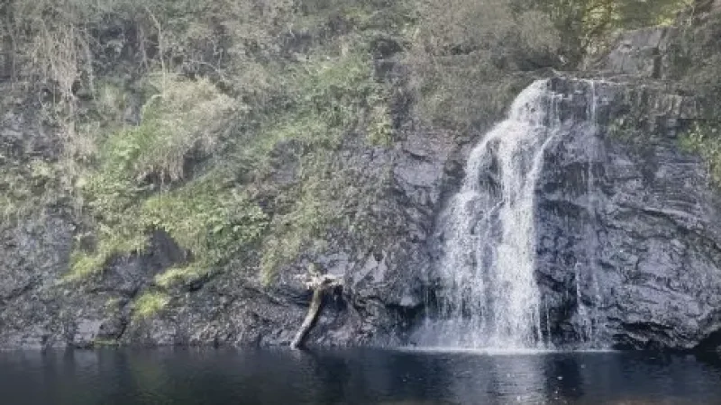 15) Coed y Brenin Forest Park(1)