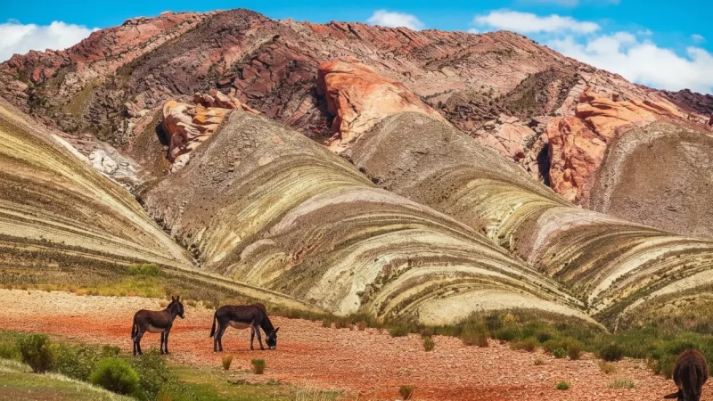 15 Cultural Event Venues – Local activities(1)