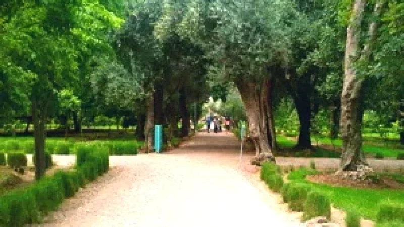15) Cyber Park Arsat Moulay Abdeslam(5)