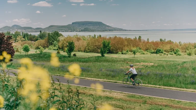 15) Cycling Paths(1)