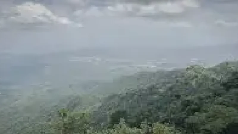 15 Forest Lookouts – Quiet viewpoints(1)