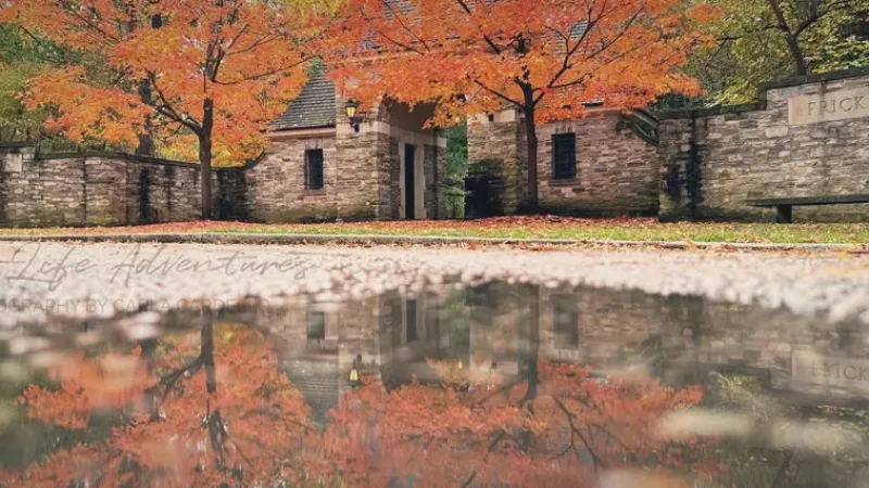 15) Frick Park(5)