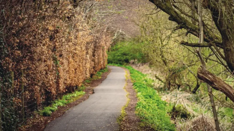 15) Lagan Towpath(1)