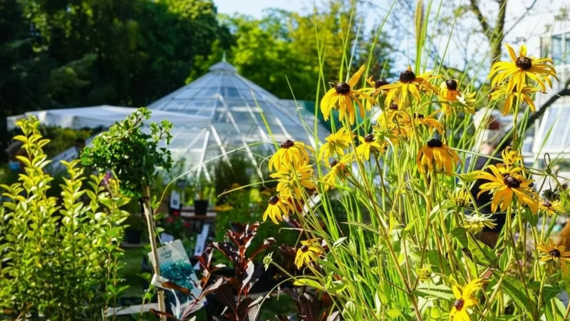 15) Leipzig Botanical Garden(2)