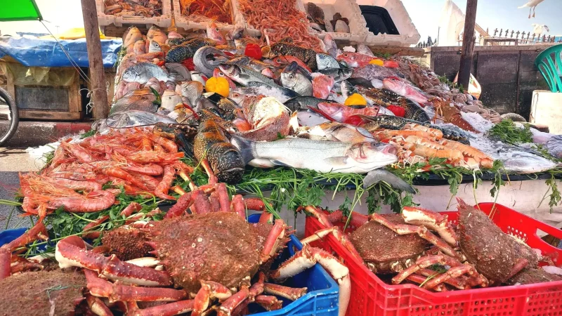 15) Local Fish Market(2)