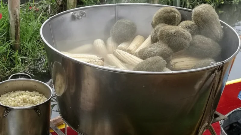 15) Local Food Stalls(3)