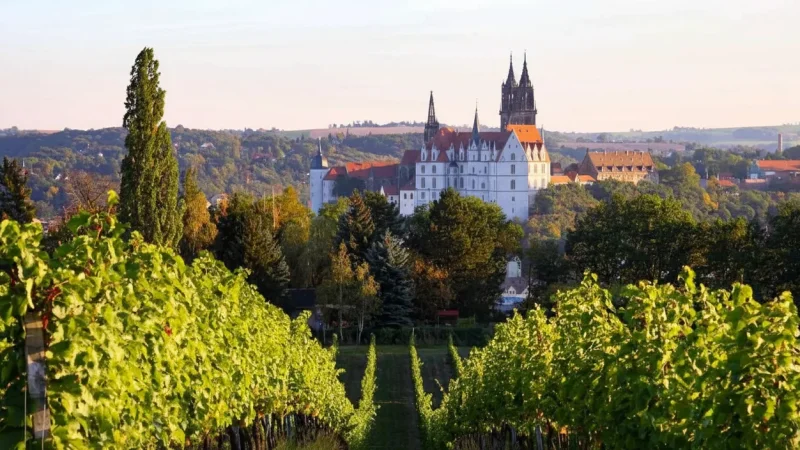 15) Meissen Wine Route(1)