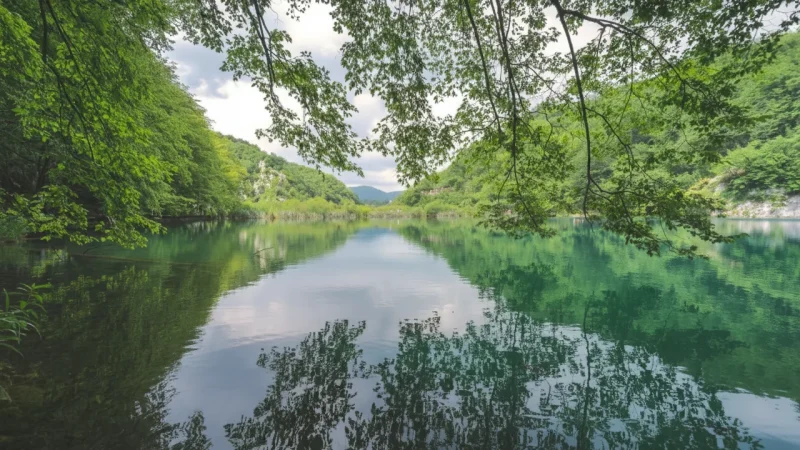 Nature Photography Spots