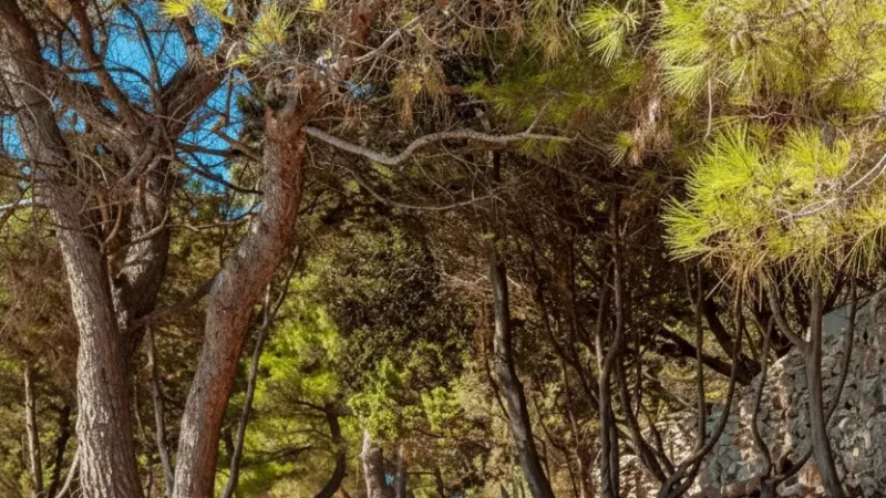 15) Nature Walking Paths(1)