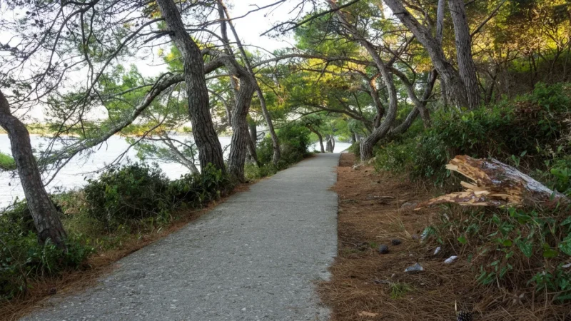 Nature Walking Routes