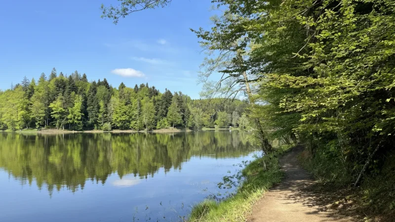 15) Nature Walking Routes(4)