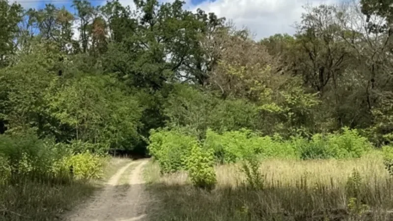 15) Nearby Nature Trails(2)