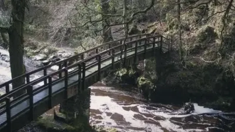 15) Ness Country Park(1)