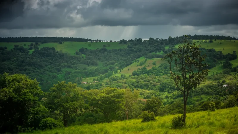 15 Open Grasslands – Natural landscapes(6)
