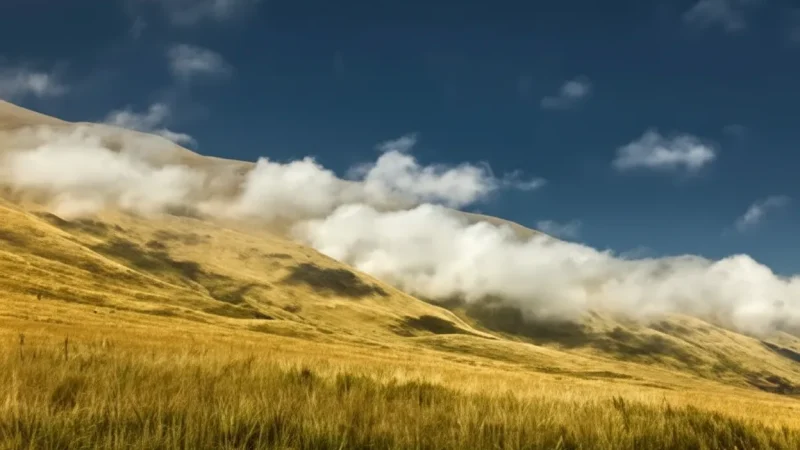 15 Open Sky Landscapes – Wide horizon views(5)