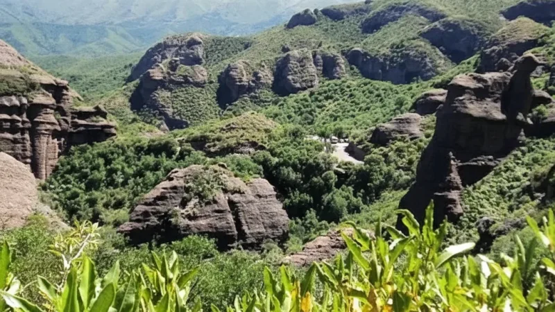 15 Park Access Trails – Entry walking routes(5)