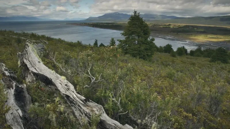 15) Protected Coastal Zones(2)
