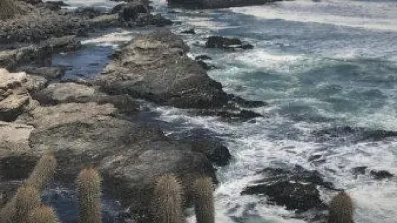 15) Quiet Beach Corners(3)