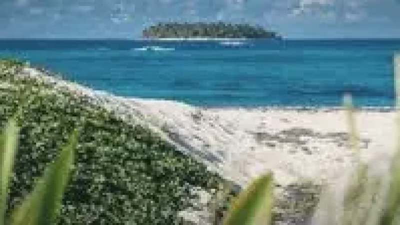 15 Quiet Beach Edges(2)