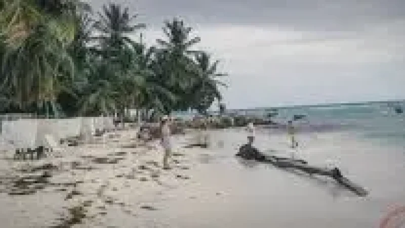 15 Quiet Ocean Corners(1)