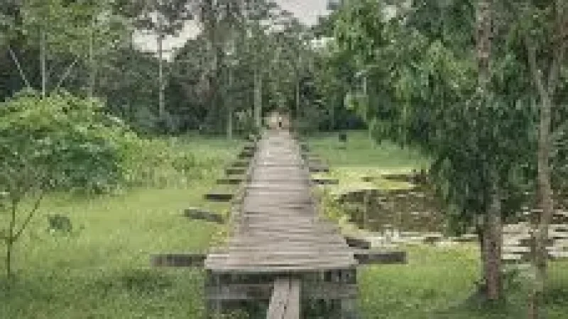 15 Quiet Rest Zones ‒ Nature relaxation(4)