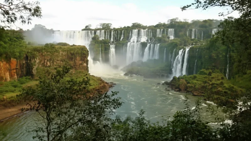 15 Rainforest Landscapes – Lush surroundings(5)