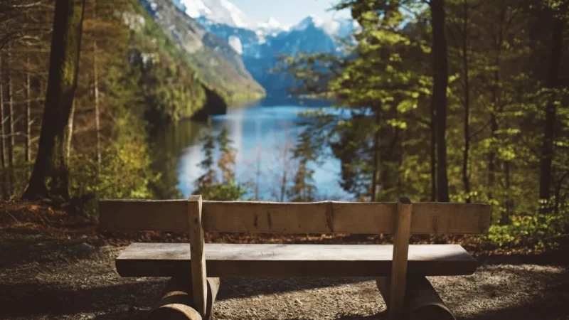 15) Relaxation Spots(5)